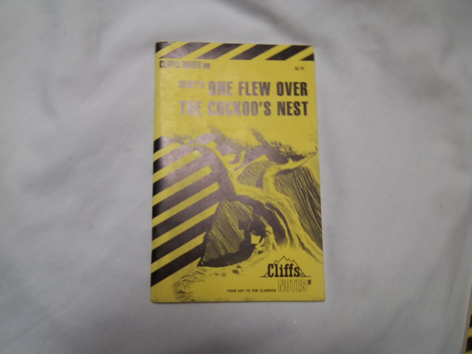 CLIFFS NOTES KESEY'S ONE FLEW OVER THE CUCKOO'S NEST