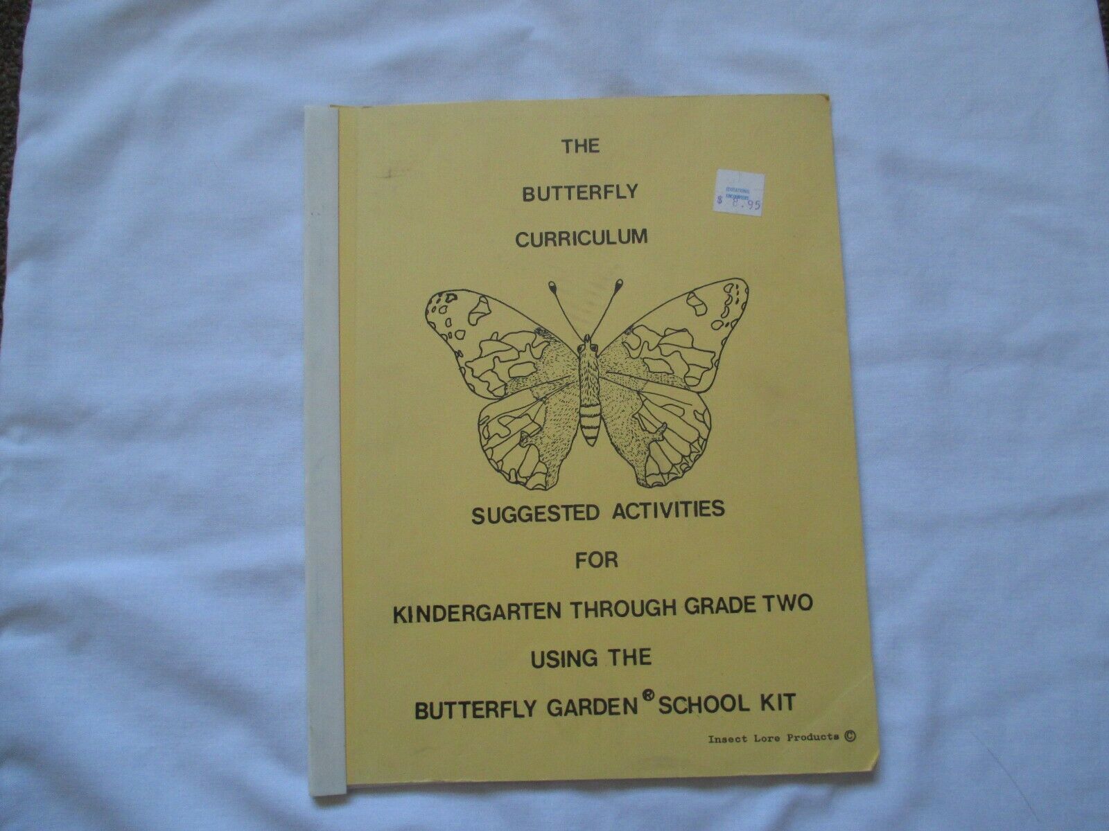 THE BUTTERFLY CURRICULUM (ACTIVITY  BOOK)