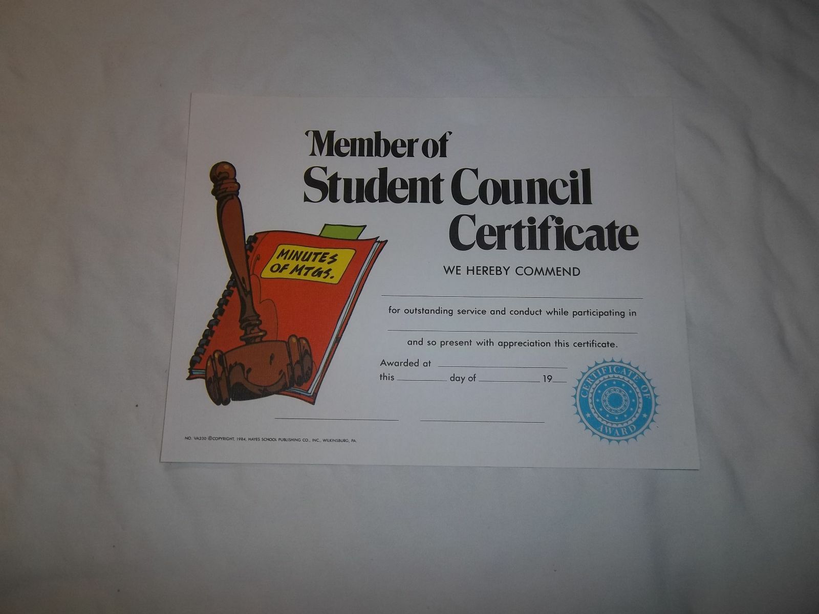 HAYES VA230 STUDENT COUNCIL MEMBER  AWARDS CERTIFICATES (PACK OF 25)