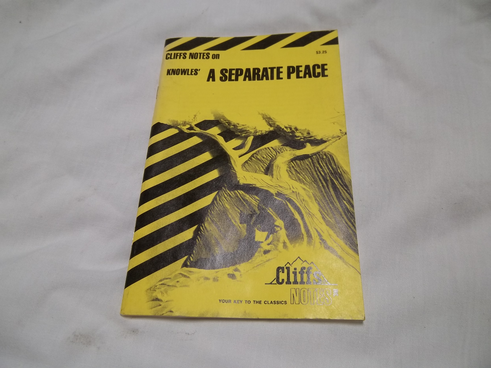 CLIFFS NOTES KNOWLE'S A SEPARATE PEACE