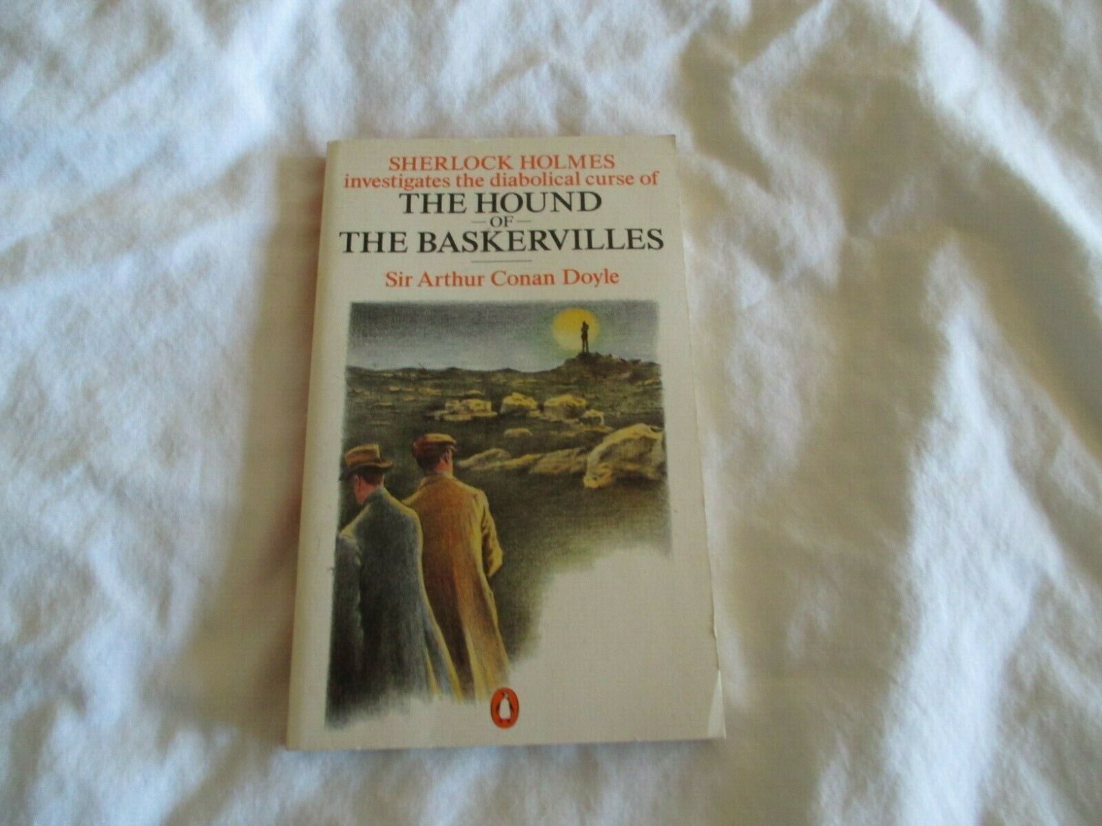 THE HOUND OF THE BASKERVILLES (PAPERBACK)